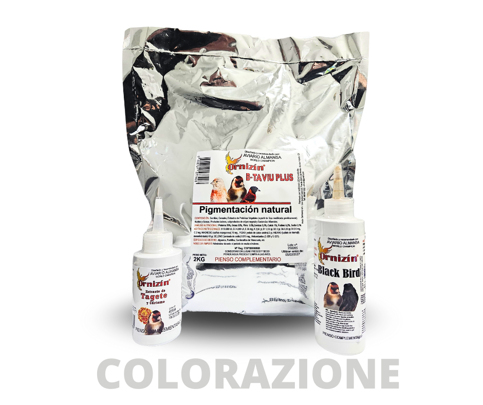 Pigmentazione naturale e salute del piumaggio: la combinazione vincente di B-TAVIU PLUS, BLACKBIRD e TAGETE & CARTAMO di Ornizìn