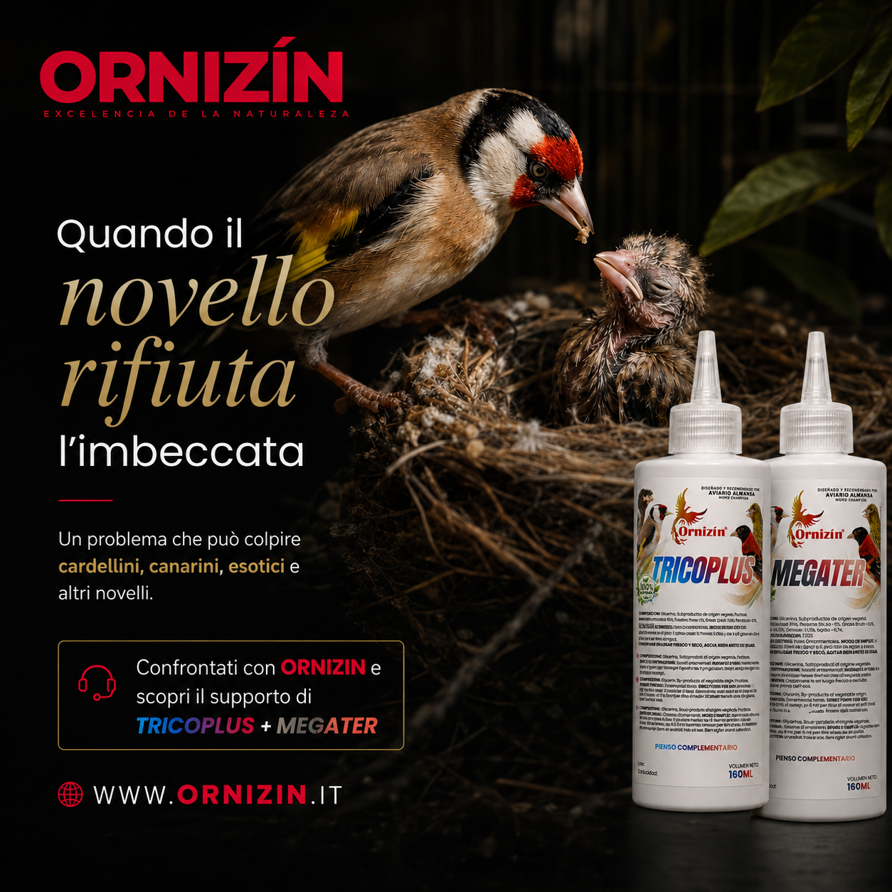 Novelli che non si lasciano più imbeccare: una problematica da non sottovalutare